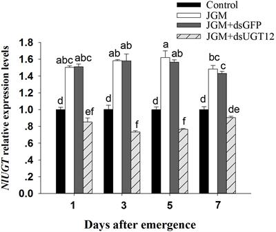 Jinggangmycin-Induced UDP-Glycosyltransferase 1-2-Like Is a Positive Modulator of Fecundity and Population Growth in Nilaparvata lugens (Stål) (Hemiptera: Delphacidae)